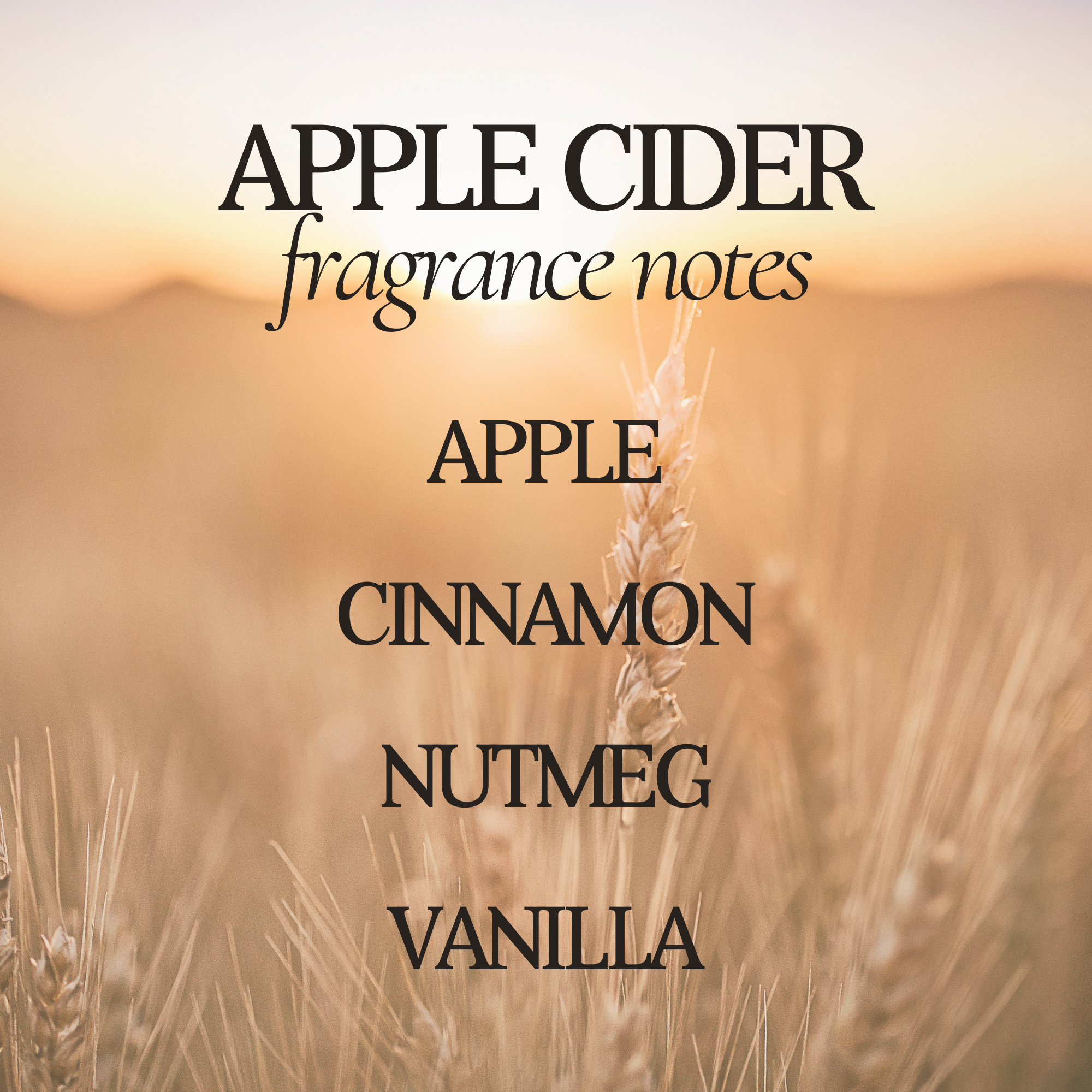 Apple Cider 12 oz Soy Candle - Fall Home Decor & Gifts