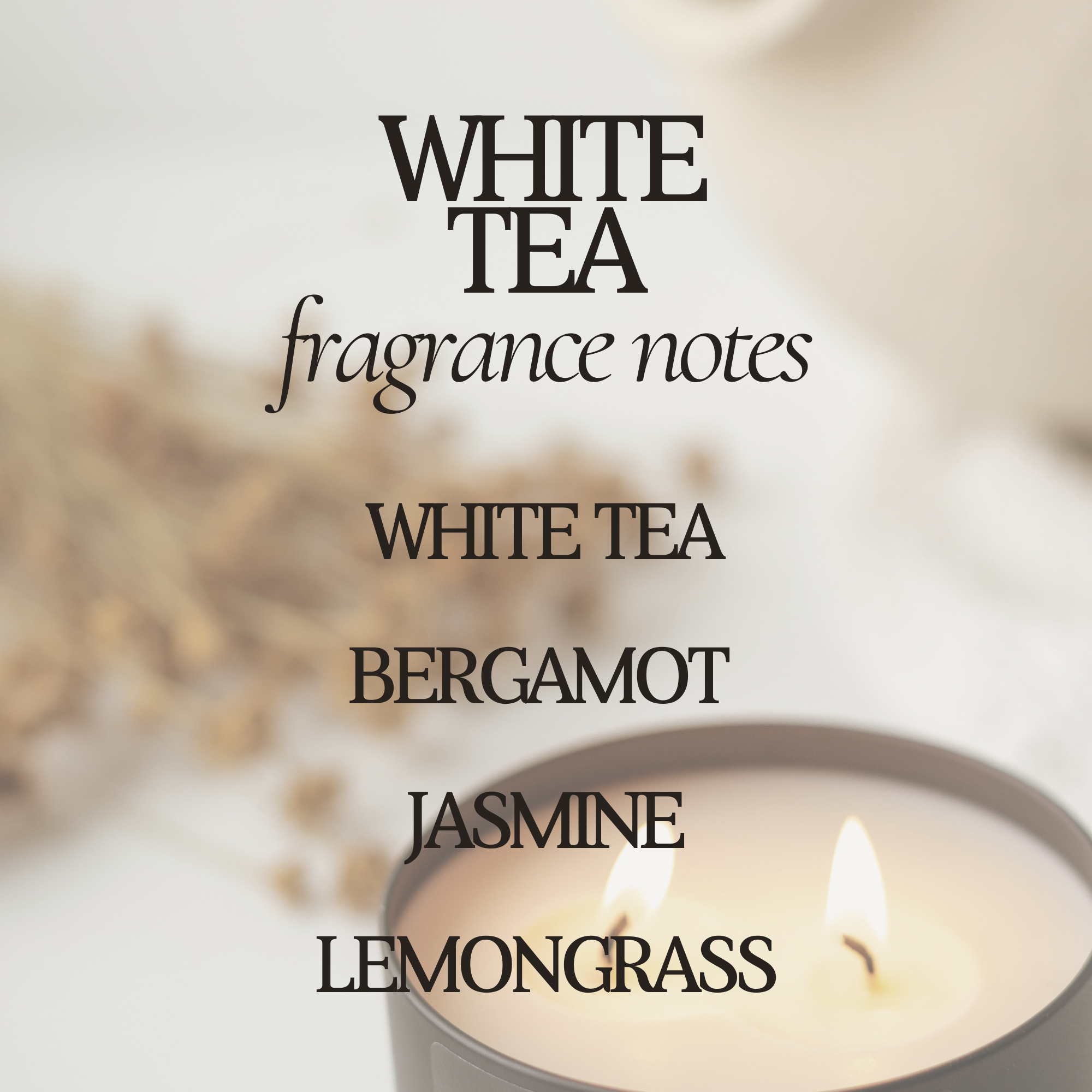 White Tea 12 oz Soy Candle - Home Decor & Gifts - Summer