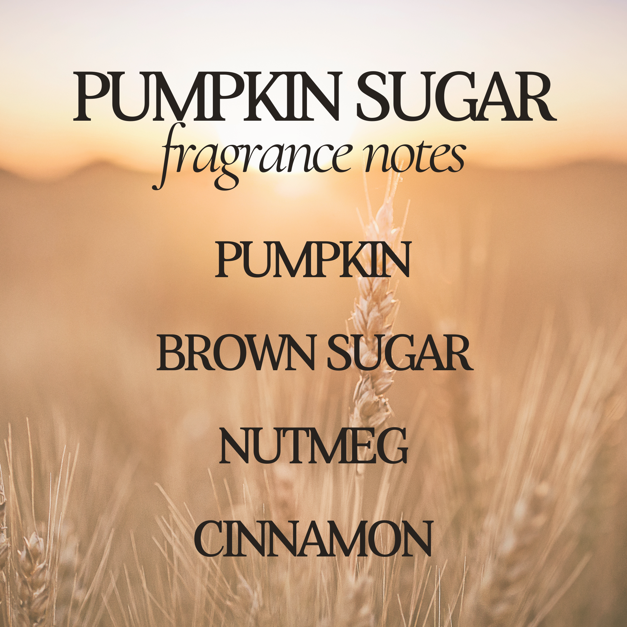 Pumpkin Sugar 12 oz Soy Candle - Fall Home Decor & Gifts