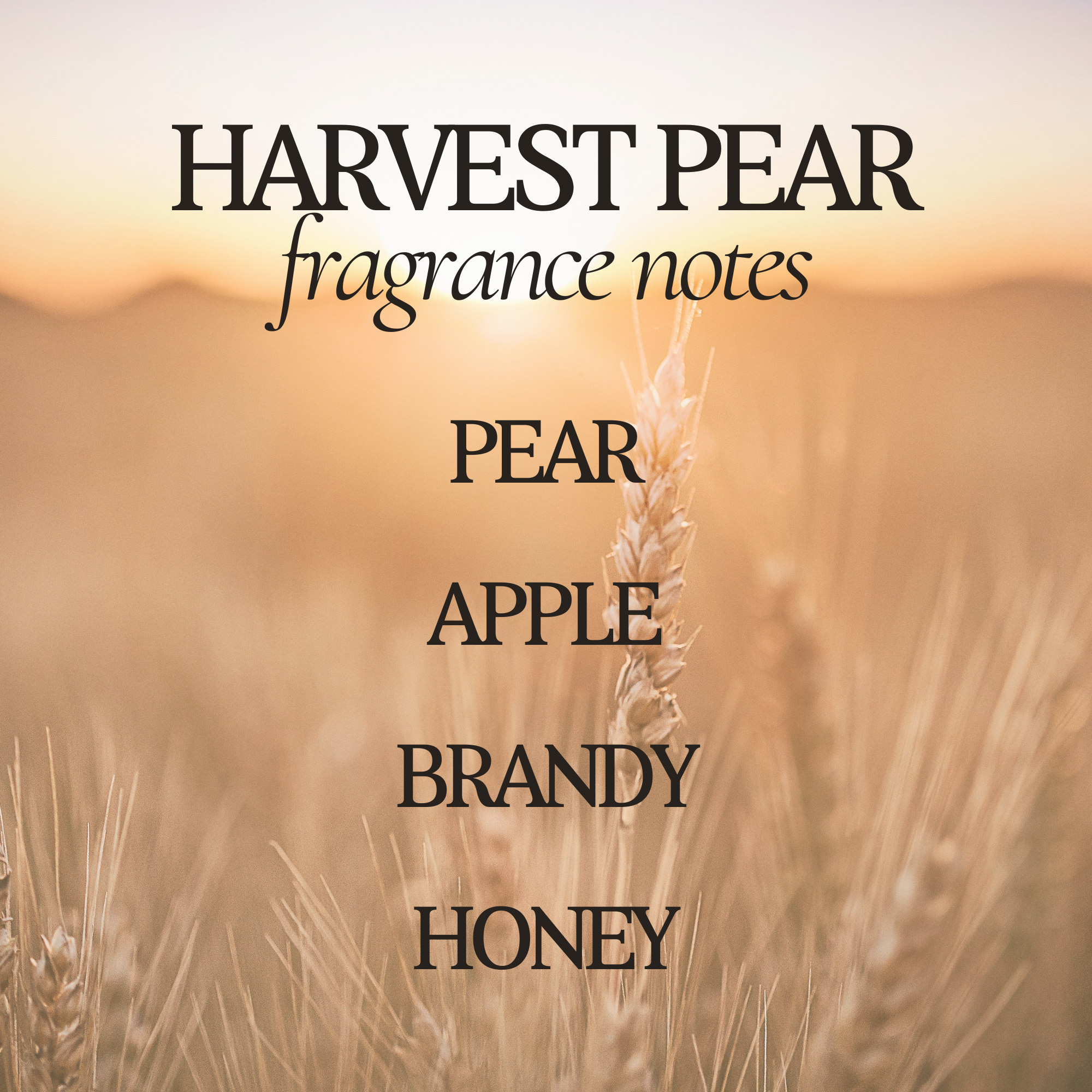 Harvest Pear Fall Soy Candle - 9 oz Amber Jar - Home Decor